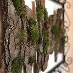Casal Da Serrana Obidos