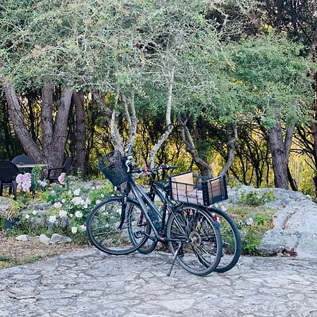 Casal Da Serrana