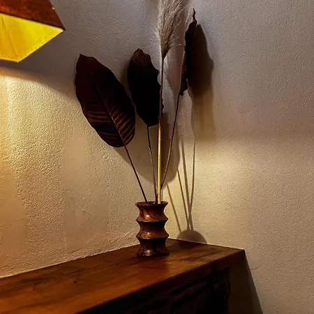 Farm stay Casal Da Serrana *