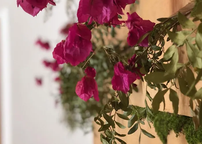 Alloggio per agriturismo Casal Da Serrana