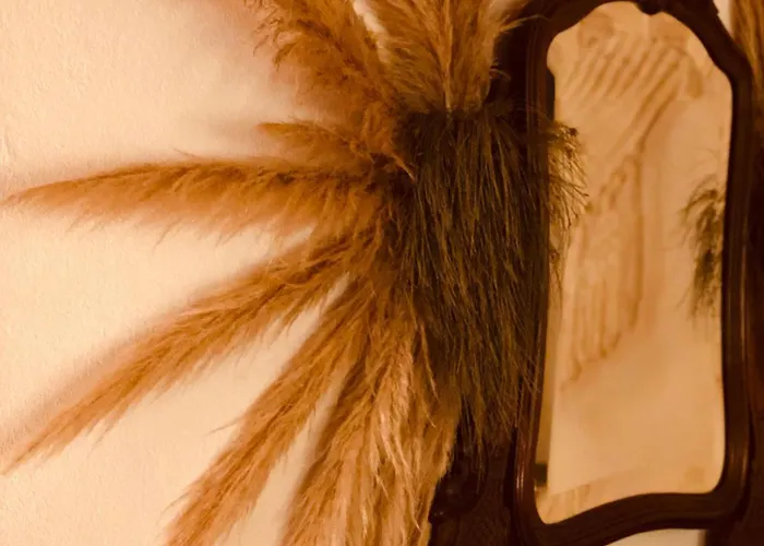 Alloggio per agriturismo Casal Da Serrana